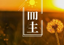 12月5日星期一，新闻简报，知晓天下事