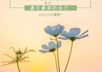 12月19日星期一，新闻简报，知晓天下事