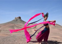 《一路向西》自驾行游记——如意甘肃