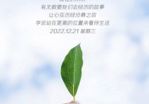 12月21日星期三，新闻简报，知晓天下事